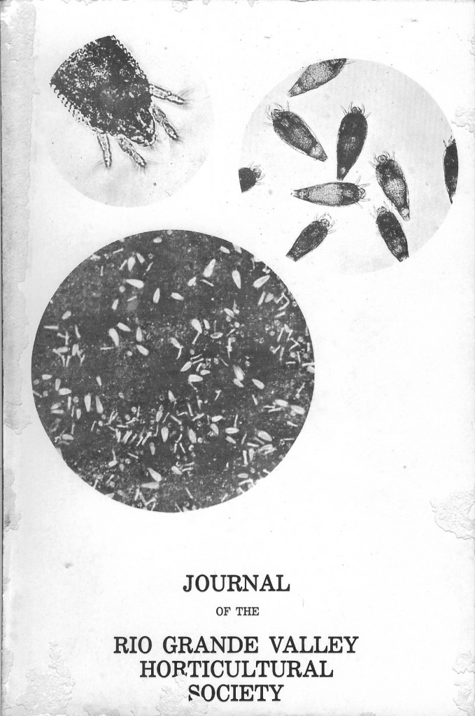 v31 1977 front cover