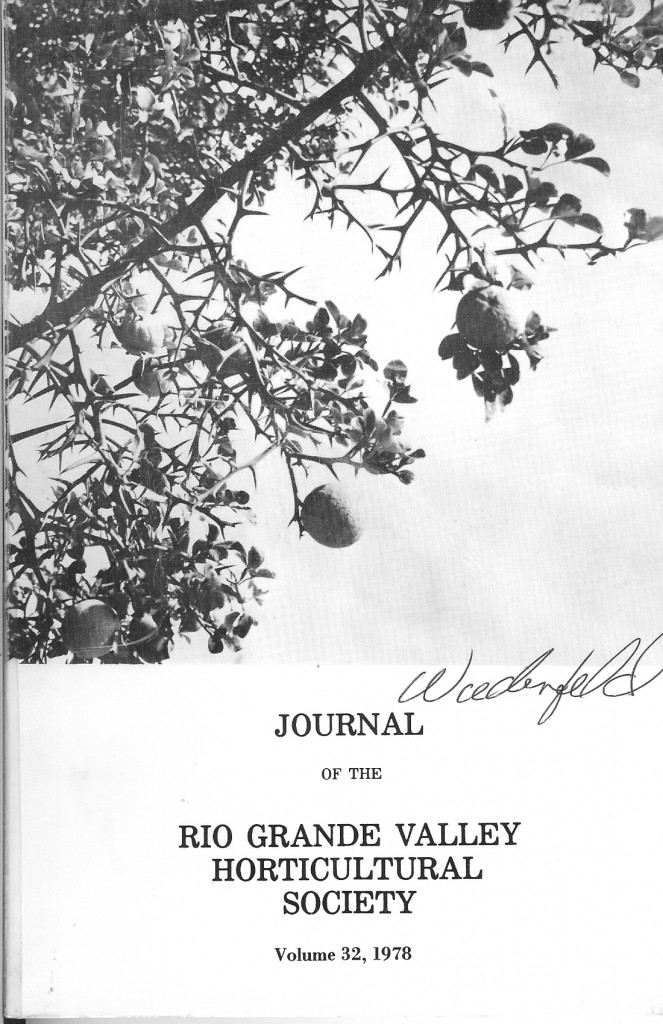 v32 1978 front cover