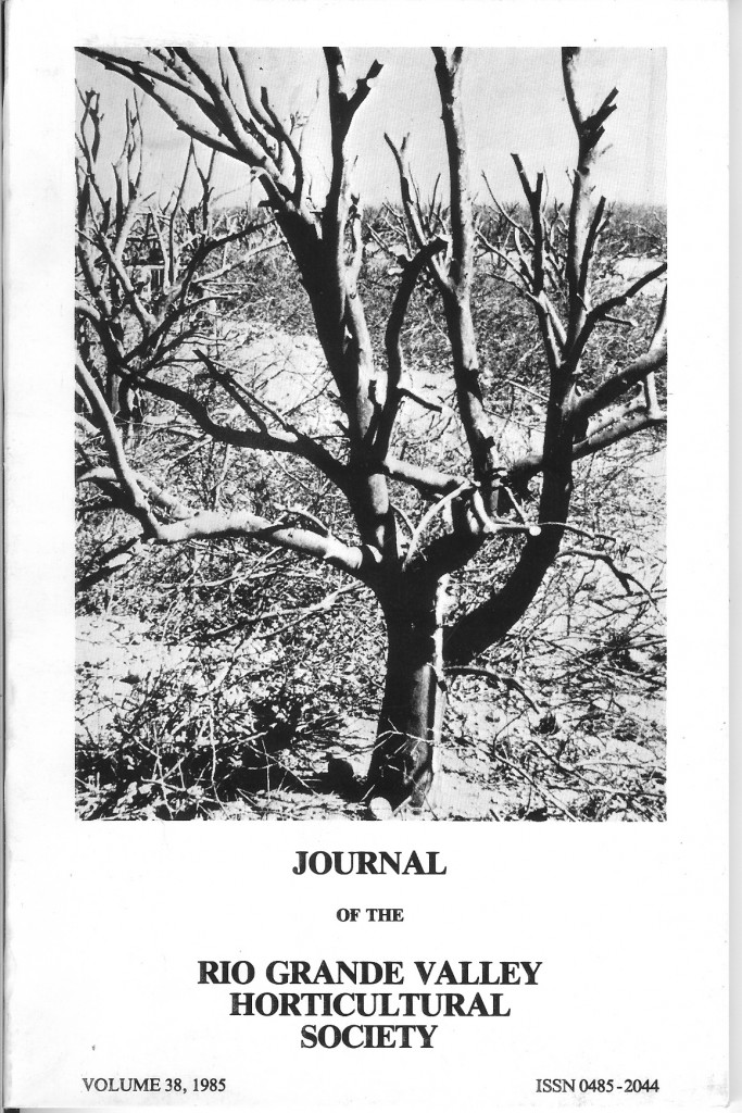 v38 1985 front cover