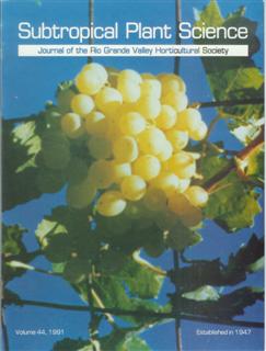 v44 1991 front cover