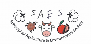 SAES LOGO 2